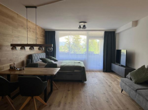 Wolfgangsee Ferienappartement Seeliebe Strobl